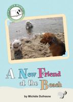 A New Friend at the Beach 158453351X Book Cover
