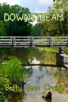 Downstream: A Witherston Murder Mystery (Witherston Murder Mysteries Book 1) 1626942013 Book Cover