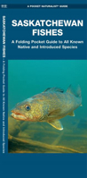 Saskatchewan Fishes: A Folding Pocket Guide to All Known Natuve and Introduced Species 1620054248 Book Cover