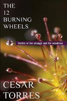 The 12 Burning Wheels 145058554X Book Cover