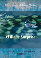OEillade Surprise (French Edition) B0DM53TCCX Book Cover