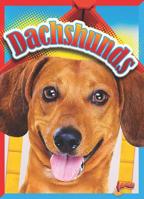 Dachshunds 1644662485 Book Cover