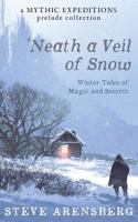 Neath a Veil of Snow: Winter Tales of Magic and Secrets 1548401986 Book Cover