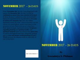 November 2017 - 26 Days 0996596127 Book Cover