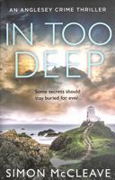 In Too Deep 0008524858 Book Cover