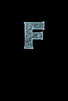 F: Decorative Monogram Notebook 1798028468 Book Cover