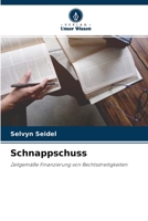 Schnappschuss: Zeitgemäße Finanzierung von Rechtsstreitigkeiten 6204140655 Book Cover