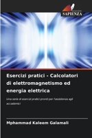 Esercizi pratici - Calcolatori di elettromagnetismo ed energia elettrica (Italian Edition) 6207785959 Book Cover