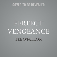 Perfect Vengeance B0F2DGQ8Q7 Book Cover