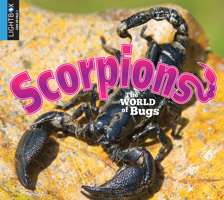 Scorpions: The World of Bugs 1510506446 Book Cover