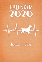 Kalender 2020: Oranger Tageskalender Labrador Retriever Herzschlag Hunde 1. Halbjahr Januar Juni ca DIN A5 weiß über 190 Seiten 1650654243 Book Cover
