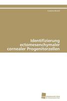 Identifizierung ectomesenchymaler cornealer Progenitorzellen 3838127617 Book Cover