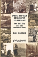 Springs and Wells of Manhattan and the Bronx 0972980385 Book Cover