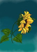 Fragile Woman 0578710412 Book Cover