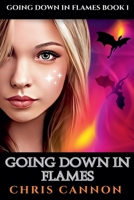 Going Down In Flames 1964956277 Book Cover