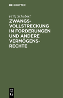 Zwangsvollstreckung in Forderungen und andere Verm�gensrechte 311241179X Book Cover