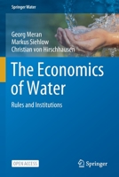 The Economics of Water: Rules and Institutions (Springer Water) 303048484X Book Cover
