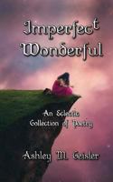 Imperfect Wonderful: An Eclectic Collection of Poetry 150109307X Book Cover