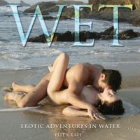 Wet: Erotic Adventures in Water 1592332579 Book Cover