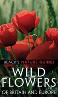 Wild Flowers of Britain and Europe (Black's Nature Guides) 140810153X Book Cover