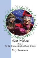 Best Wishes: Book 2 The Big Brains & Broken Hearts Trilogy B0GXCLPCXT Book Cover