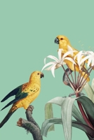 Address Book Large Print: Bird Cover Design Addresses and Addresses, Phone Numbers,Social Media, 6" x 9" With Alphabetical. to Organize Your Family, Friends and Contacts. Gift for Bird Lovers 167063874X Book Cover