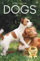 Picture Book of Loyal Dogs: A Heartwarming Collection of Real Dog Photography for Seniors Living with Memory Loss, Alzheimer’s, or Dementia B0FWKMR4W3 Book Cover