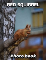 Red Squirrel Photo Book: 40 Stunning Images Capturing Nature's Playful Rodent For Animal Lovers and Enthusiasts B0DPS359LP Book Cover