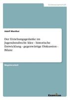 Der Erziehungsgedanke Im Jugendstrafrecht 3869430214 Book Cover