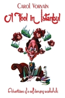 A fool in Istanbul - Adventures of a self denying workaholic 9730220174 Book Cover