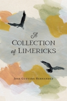 A Collection of Limericks B0CJDKPZXH Book Cover