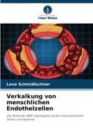 Verkalkung von menschlichen Endothelzellen (German Edition) 6209655823 Book Cover