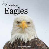 Audubon Eagles Mini Wall Calendar 2026 1523531088 Book Cover
