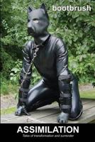 Assimilation: Tales of Transformation and Surrender 1610982398 Book Cover