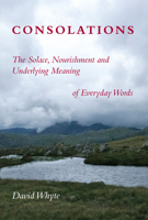 Consolations: The Solace, Nourishment and Underlying Meaning of Everyday Words 1932887369 Book Cover