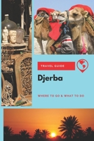 Djerba Travel Guide: Where to Go & What to Do 1674415095 Book Cover