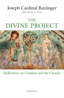 The Divine Project: Reflections on Creation and the Church 1621645053 Book Cover
