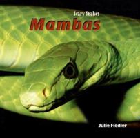 Mambas (Scary Snakes) 1404238387 Book Cover