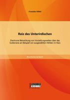 Reiz des Unterirdischen. Höhlenerkundungen in der Frühen Neuzeit 365656857X Book Cover