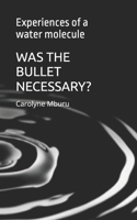 WAS THE BULLET NECESSARY: Experiences of a water molecule B0GDVBKX2R Book Cover