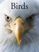 Birds 1782745262 Book Cover