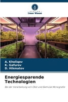 Energiesparende Technologien (German Edition) 6209770150 Book Cover