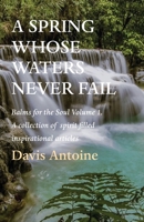 A Spring whose waters never fail: Balms for the Soul Volume 1. A collection of spirit filled inspirational articles 164969136X Book Cover