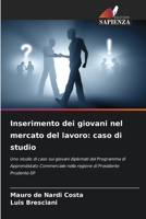 Inserimento dei giovani nel mercato del lavoro: caso di studio (Italian Edition) 6209145477 Book Cover
