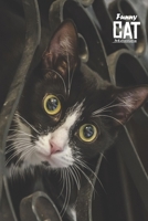 Funny Cat Memes Training For Healthy Life Log Book: 90 Day Diet and Exercise Fitness Journal Activity Tracker | 3 Month Diet Plan to Lose Weight | ... Note Weekly | Funny Cat Memes Design Cover 1657099822 Book Cover