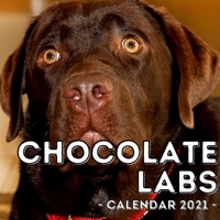 Chocolate Labs Calendar 2021: 16-Month Calendar, Cute Gift Idea For Labrador Retriever Lovers Men & Women B094SZS17W Book Cover