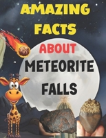 Amazing Facts About Meteorite Falls: An unforgettable adventure with space rocks B0F2HVYJWR Book Cover