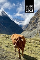 Cow Cattle Farming Farmer Week Planner Weekly Organizer Calendar 2020 / 2021 - In the Mountains: Cute Wildlife Animal Pet Bullet Journal Notebook Diary in 6” x 9” Inch Pocket Size 1675221987 Book Cover