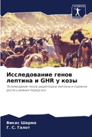 Исследование генов лептина и GHR у козы: Полиморфизм генов рецепторов лептина и гормона роста у разных пород коз 6206237265 Book Cover