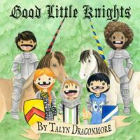 Good Little Knights 1072402823 Book Cover